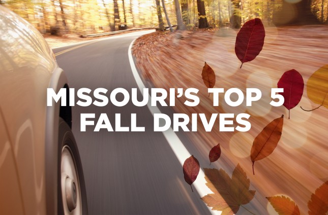 Lauren McCarthy Fall Drive
