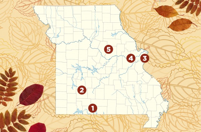 Lauren McCarthy Fall Drives Map